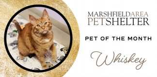 pet of the month photo Whiskey