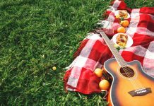 Guitar on picnic blanket in grass