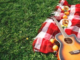 Guitar on picnic blanket in grass